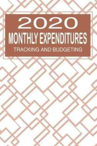 Cover of 2020 Monthly Expenditures