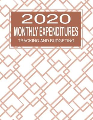 Book cover for 2020 Monthly Expenditures