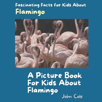 Book cover for A Picture Book for Kids About Flamingo