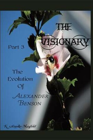 Cover of The Visionary - Part 3