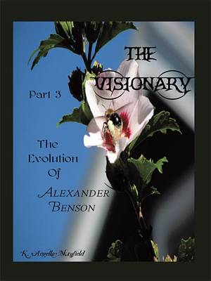 Book cover for The Visionary - Part 3