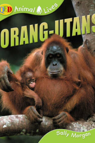 Cover of Orang-utans