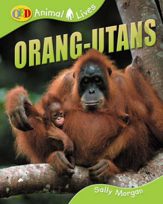 Book cover for Orang-utans