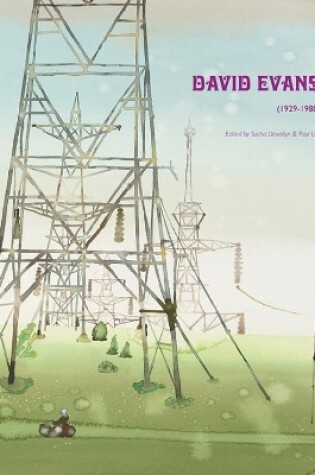 Cover of David Evans (1929-1988)