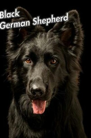 Cover of Black German Shepherd