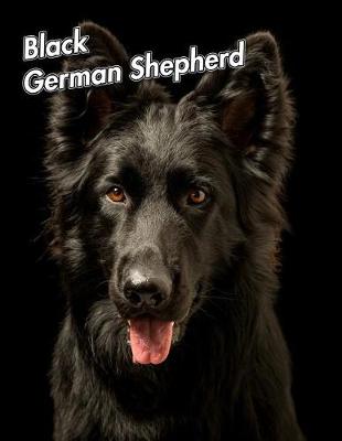 Book cover for Black German Shepherd