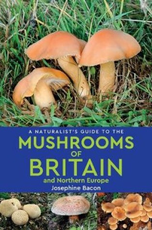 Cover of A Naturalist’s Guide to the Mushrooms of Britain and Northern Europe (2nd edition)
