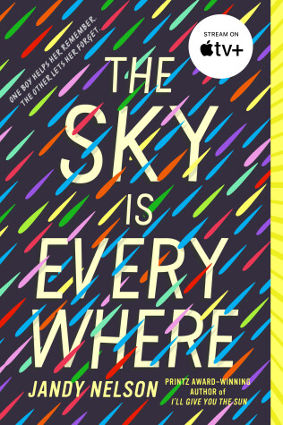 Book cover for The Sky Is Everywhere