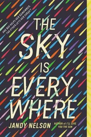 Cover of The Sky Is Everywhere