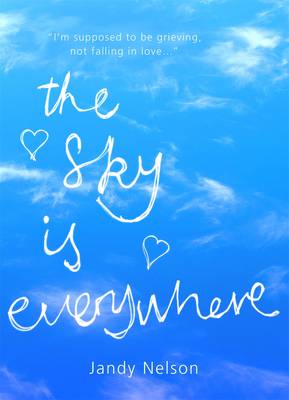 Book cover for Sky Is Everywhere