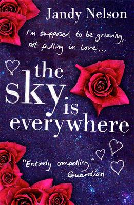 Book cover for The Sky Is Everywhere