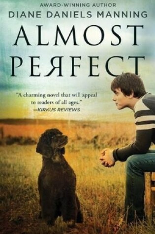 Cover of Almost Perfect