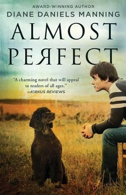 Book cover for Almost Perfect