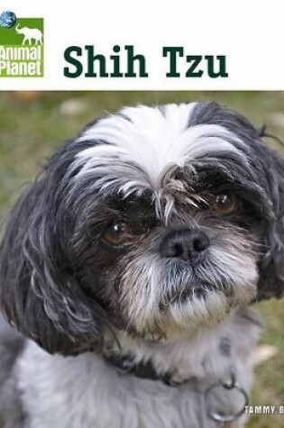 Cover of Shih Tzu