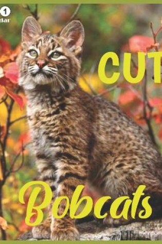 Cover of Cute Bobcats