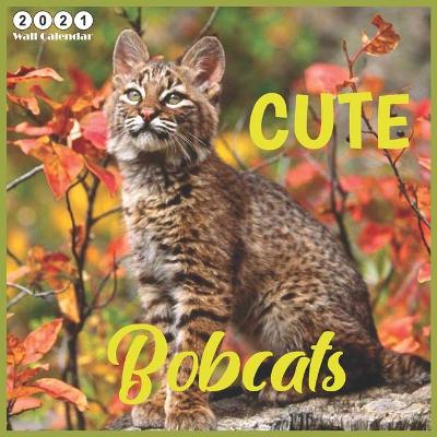 Book cover for Cute Bobcats