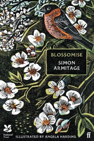 Cover of Blossomise