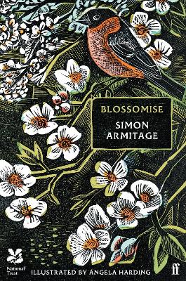 Book cover for Blossomise