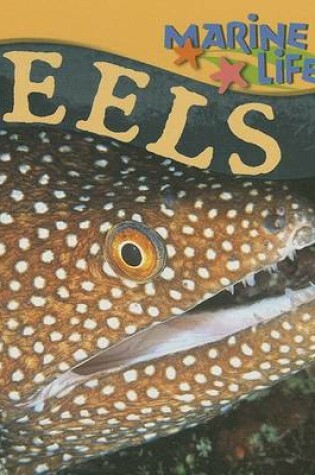 Cover of Eels