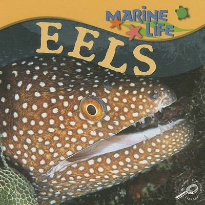 Book cover for Eels