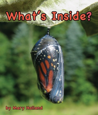 Book cover for What's Inside?