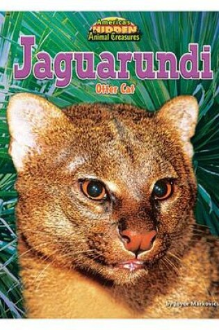 Cover of Jaguarundi