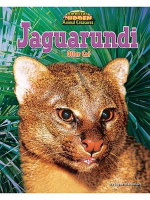 Book cover for Jaguarundi