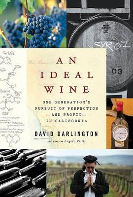 Book cover for An Ideal Wine