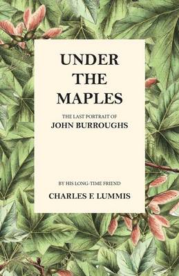 Book cover for Under the Maples - The Last Portrait of John Burroughs