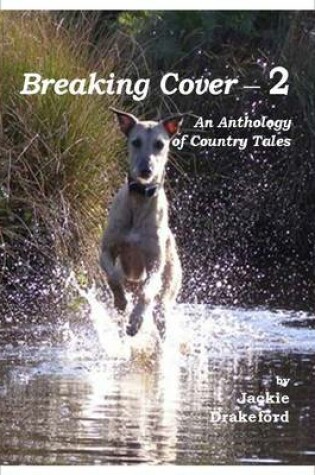 Cover of Breaking Cover - 2