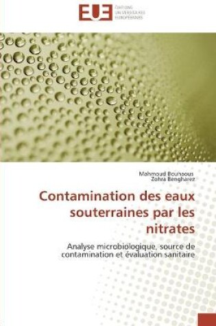 Cover of Contamination des eaux souterraines par les nitrates