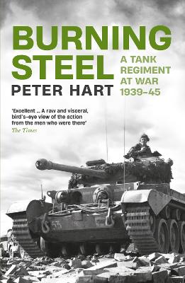 Book cover for Burning Steel