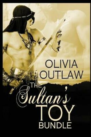 Cover of The Sultan's Toy Bundle