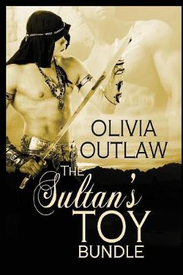Book cover for The Sultan's Toy Bundle