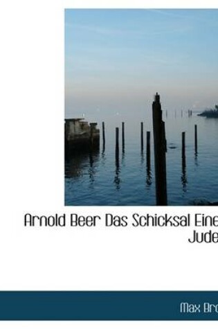 Cover of Arnold Beer Das Schicksal Eines Juden