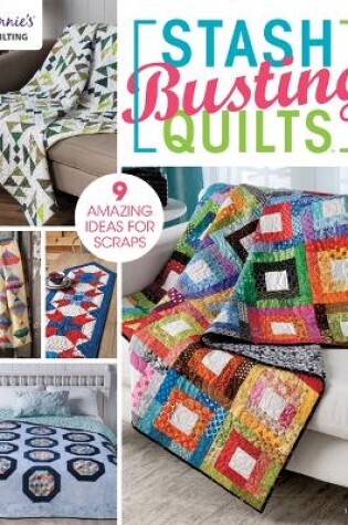 Cover of Stash Busting Quilts