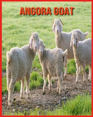 Book cover for Angora Goat