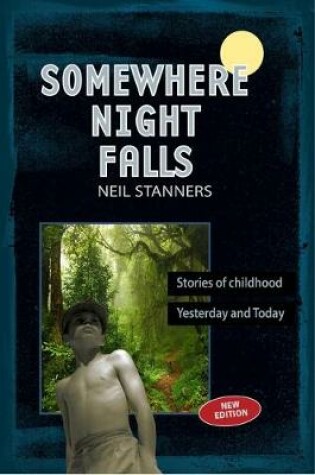 Cover of Somewhere Night Falls