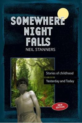 Book cover for Somewhere Night Falls