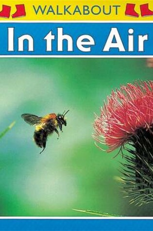 Cover of In the Air