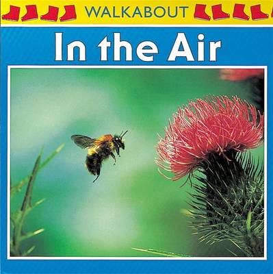 Book cover for In the Air