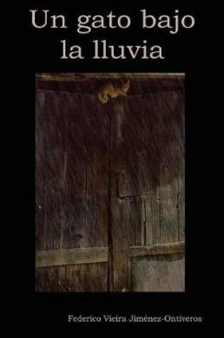 Cover of Un gato bajo la lluvia