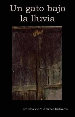 Book cover for Un gato bajo la lluvia