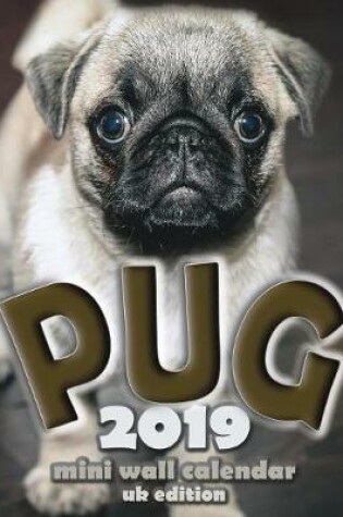 Cover of The Pug 2019 Mini Wall Calendar (UK Edition)