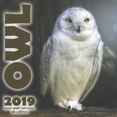 Book cover for The Owl 2019 Mini Wall Calendar (UK Edition)