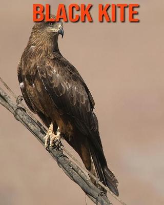 Book cover for Black kite