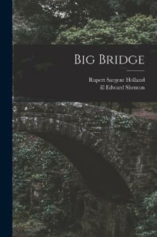 Cover of Big Bridge