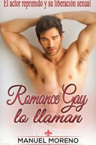 Cover of Romance Gay lo llaman