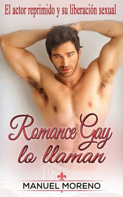 Book cover for Romance Gay lo llaman