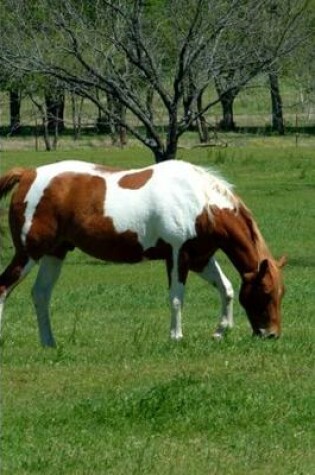 Cover of 2020 Daily Planner Horse Photo Equine Grazing Chestnut 388 Pages